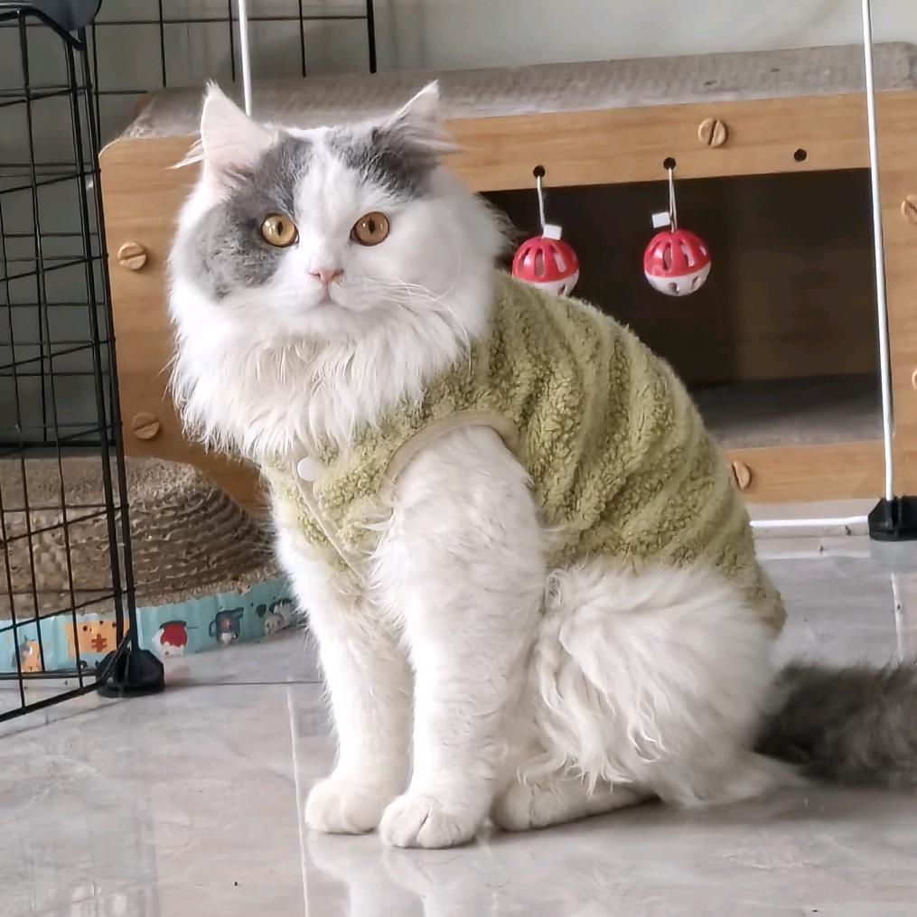 “奔驰”的小日常