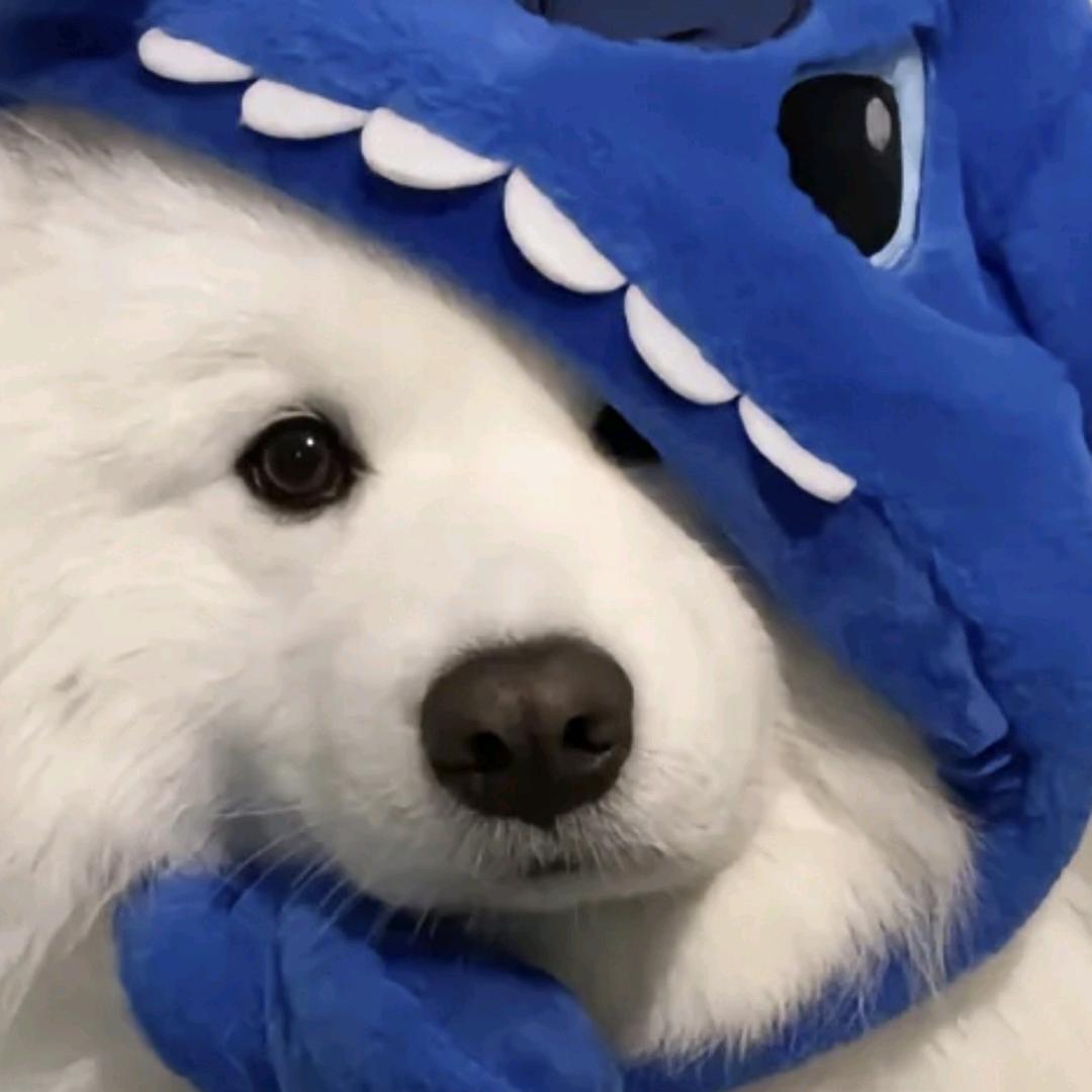邃