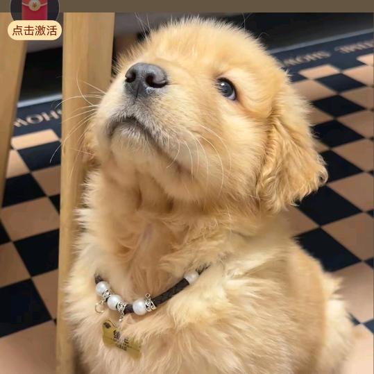 随你咋觉给