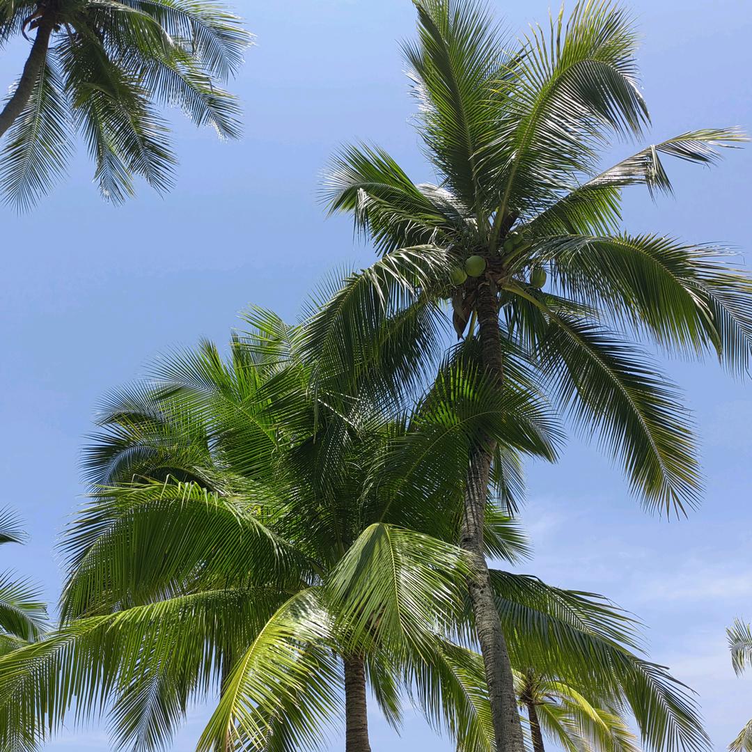 好运(ಥ_ಥ)🌟暴张💋💋