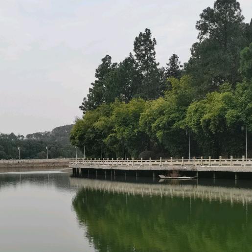 探寻老武汉的记忆