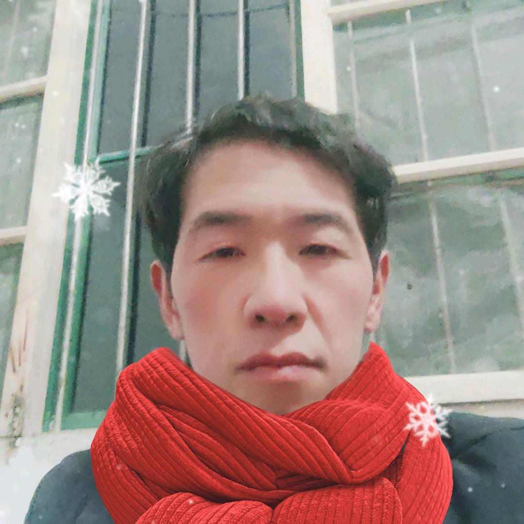 木老虎