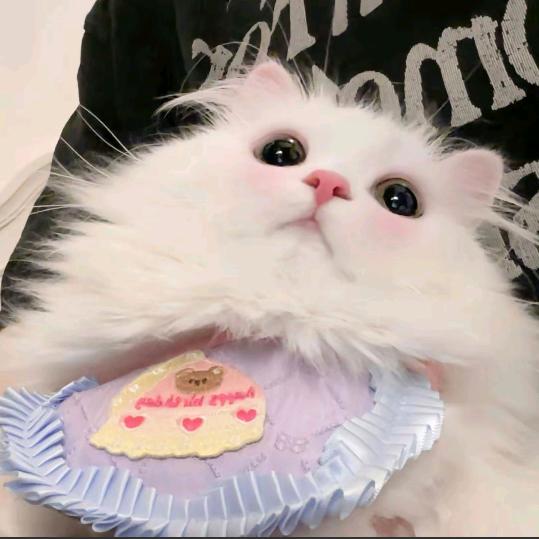 ！！