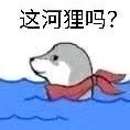 hsongqi