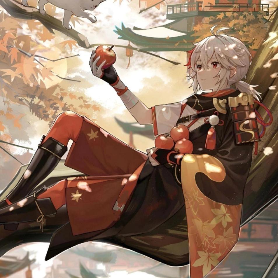 风的魂殇曲
