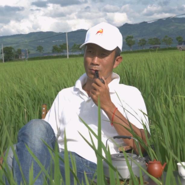 制茶人·杨文明