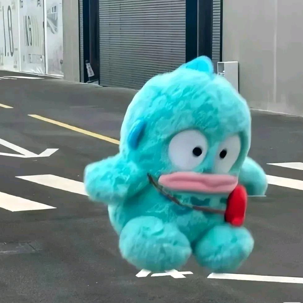 屁嘎🐟🖤🌻🌙