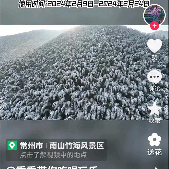森林狼