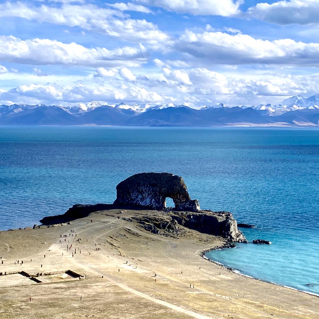 大大大大大大大大🤣