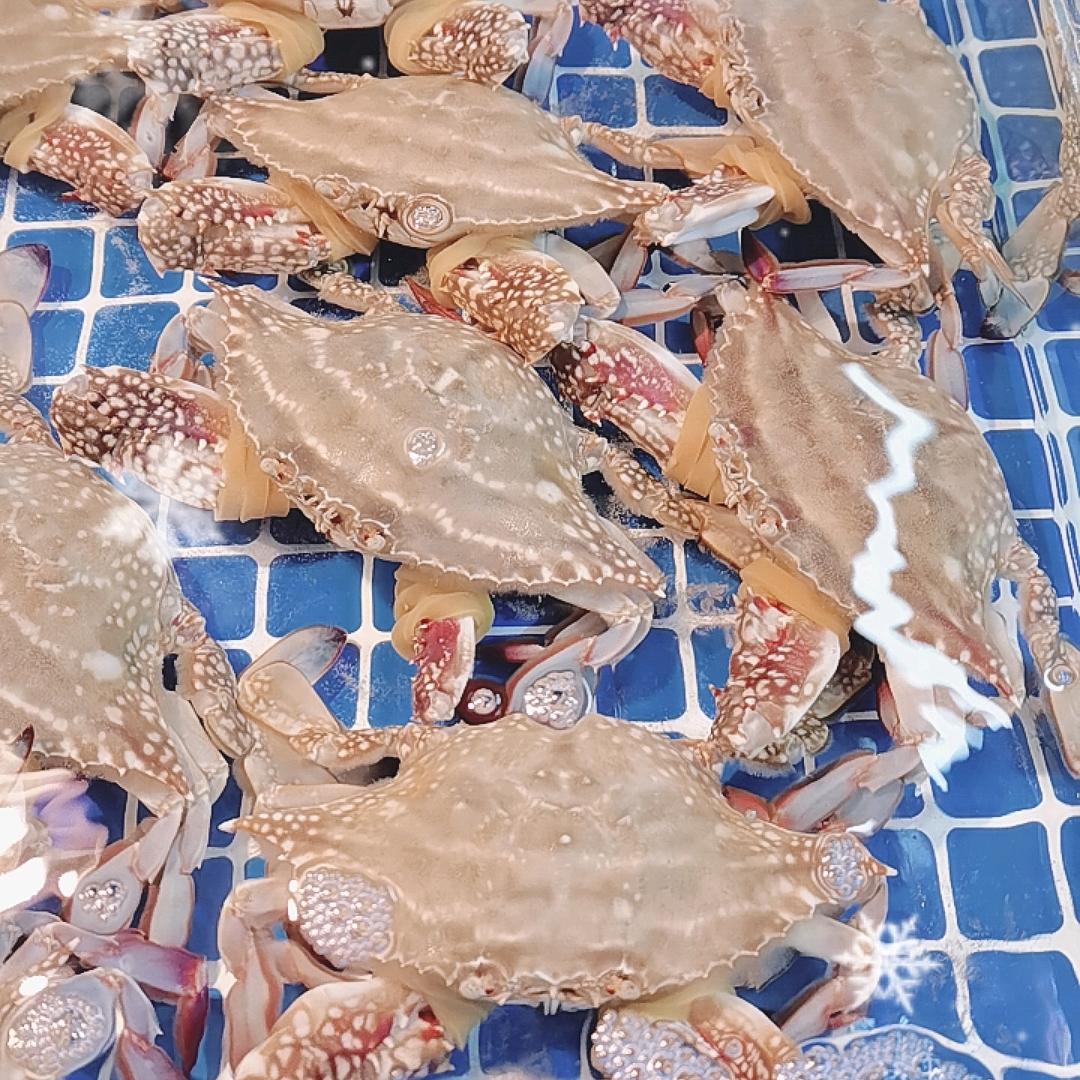 《🦀🐙》山高海深