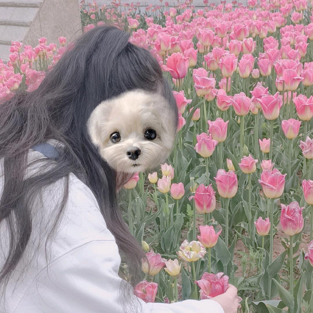 我是阳阳阳喂