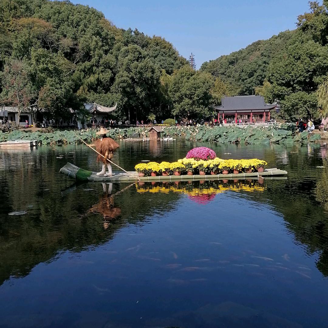 喜欢杨柳科的沈玉凝头像
