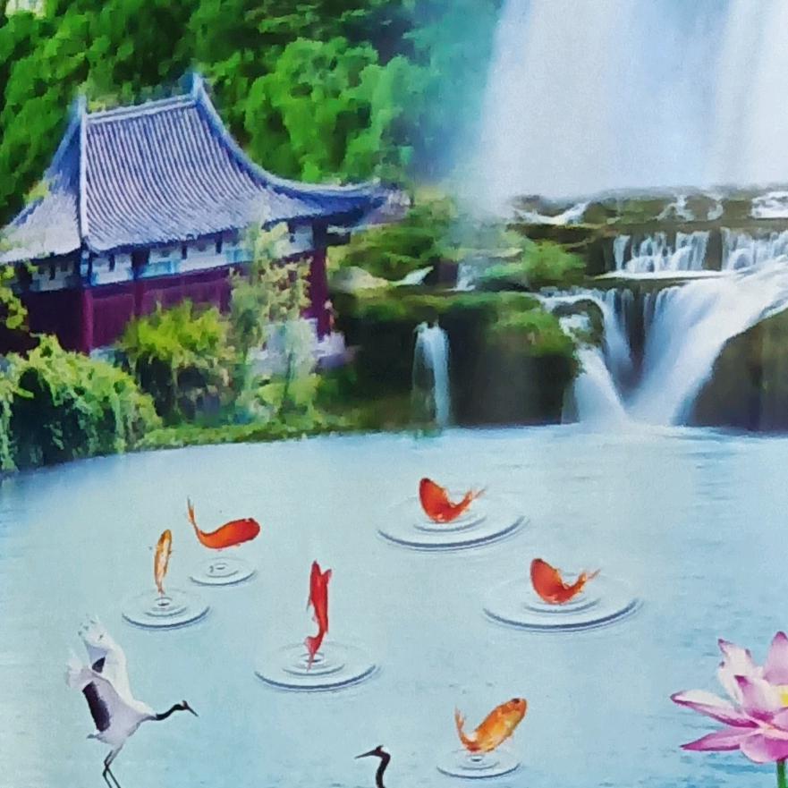 传奇🌻🌻人生