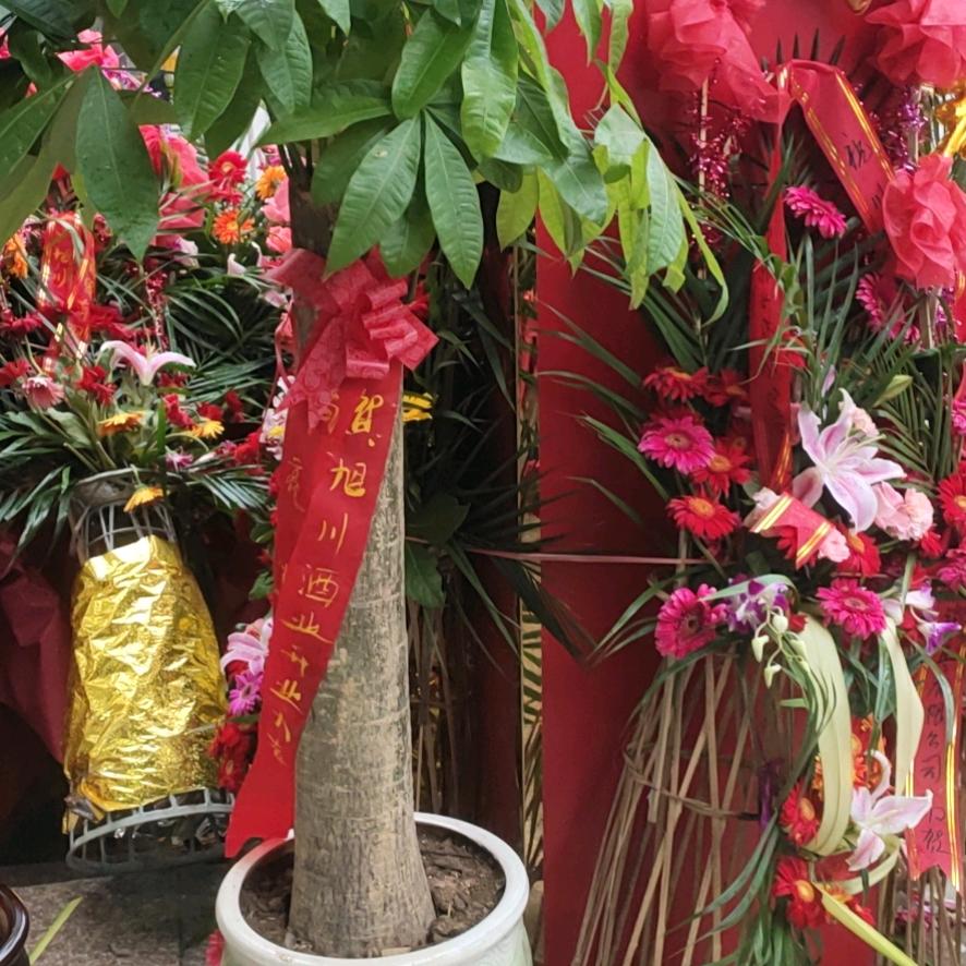 光头？桃子，野鸡