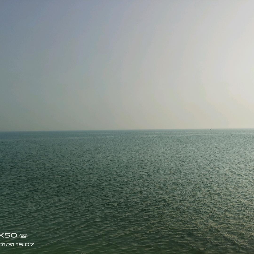 别踹我这条好腿