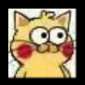 一只到处浪的猫