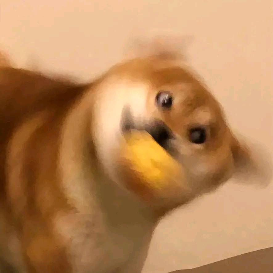 稳定发疯