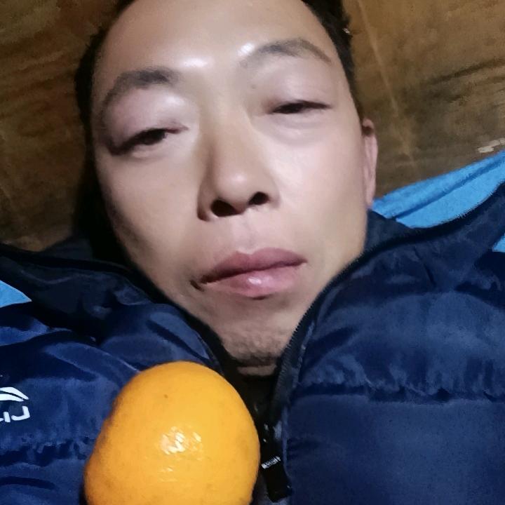 单身刘哥