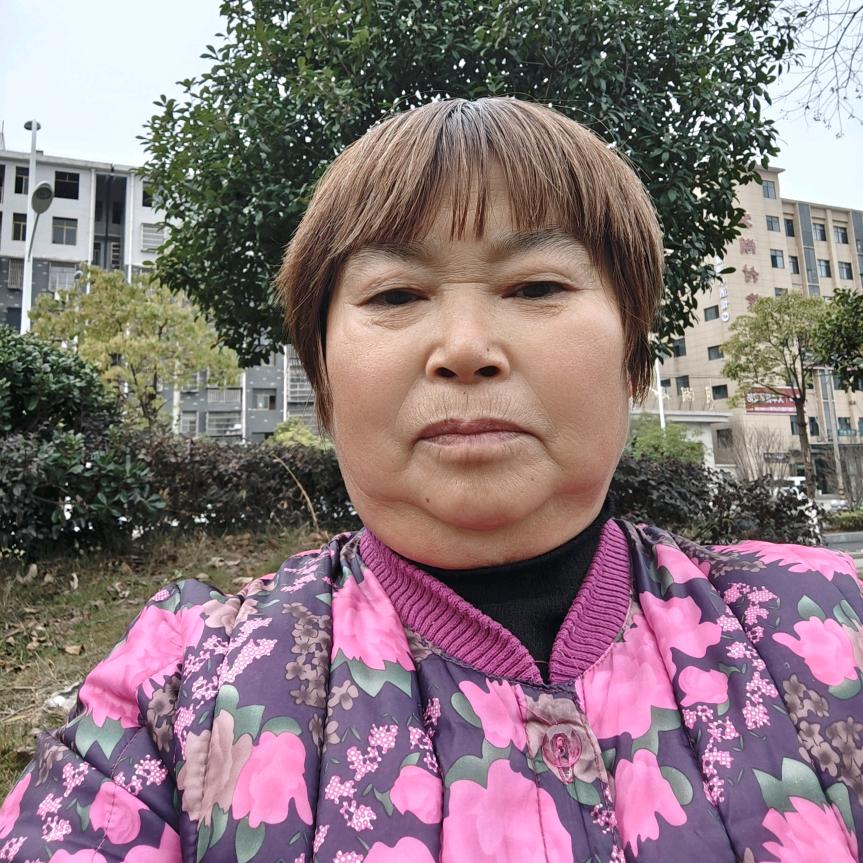 金枝（每睌18时18分直播）