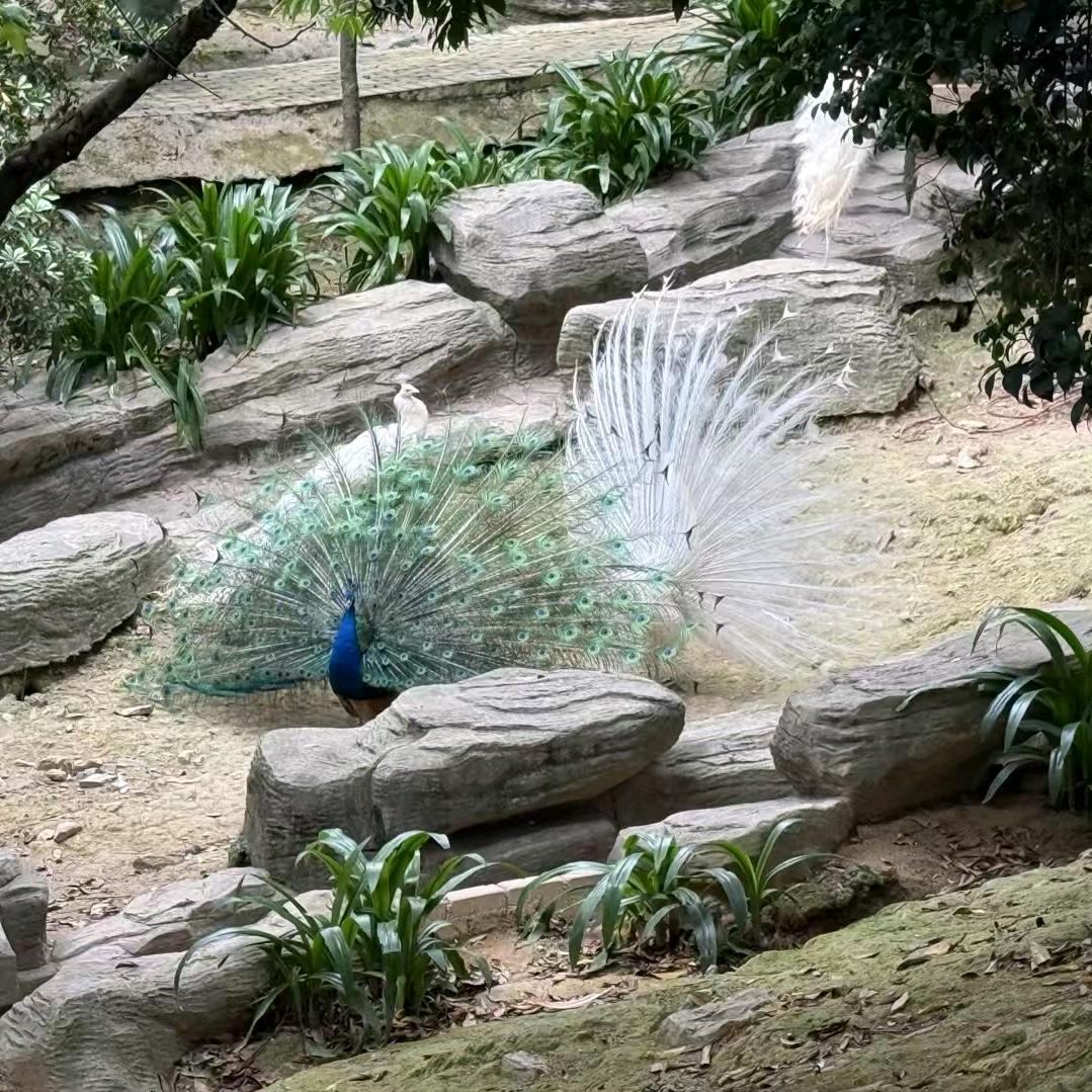 从这一秒开始。👀来财