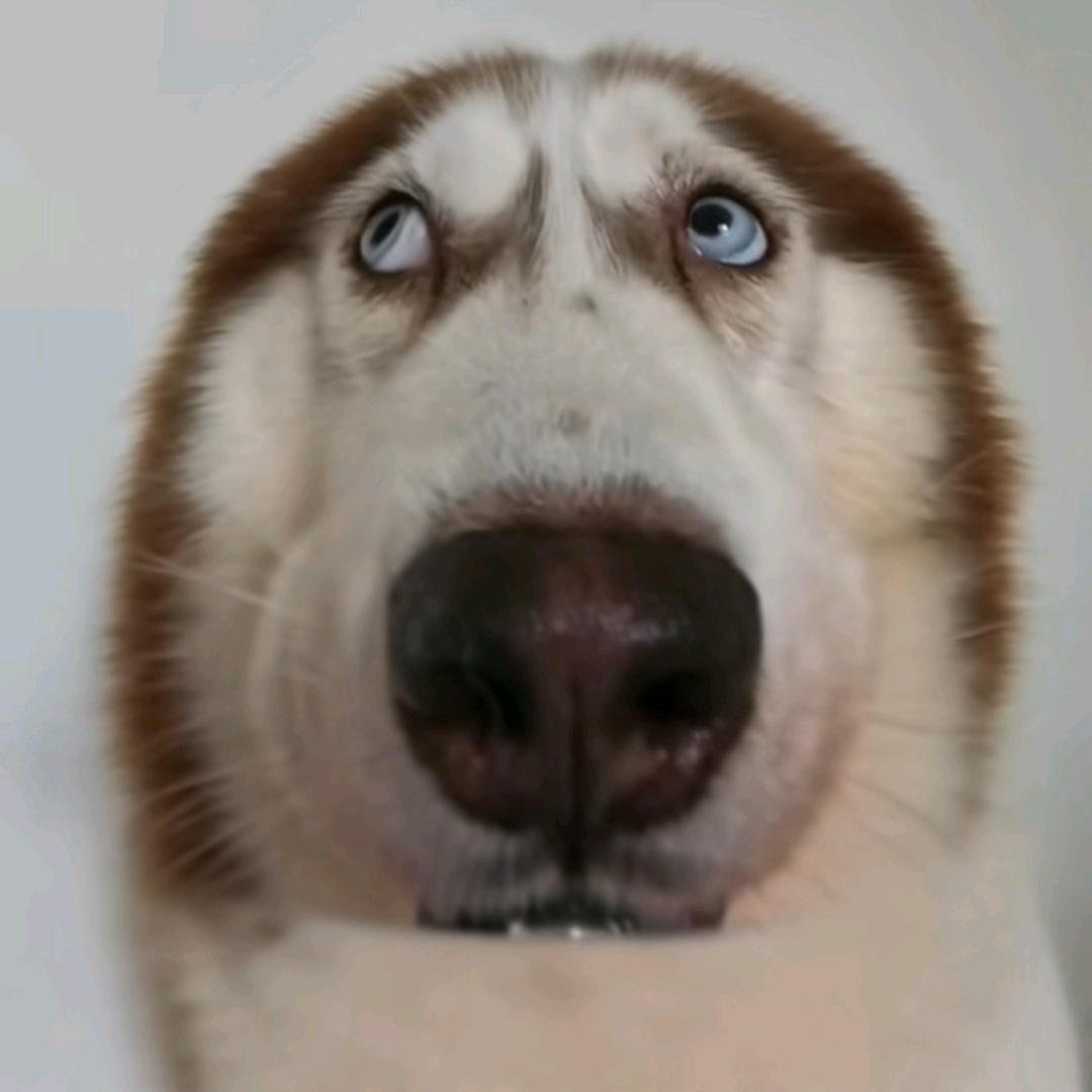 姐夫开门我是我姐