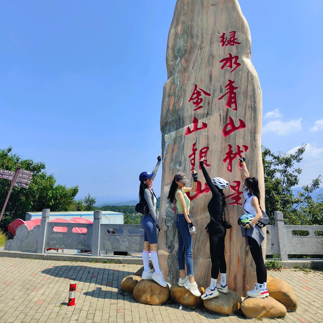 河南特产小相菊花~盼盼
