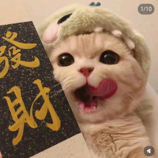 喵喵吖～