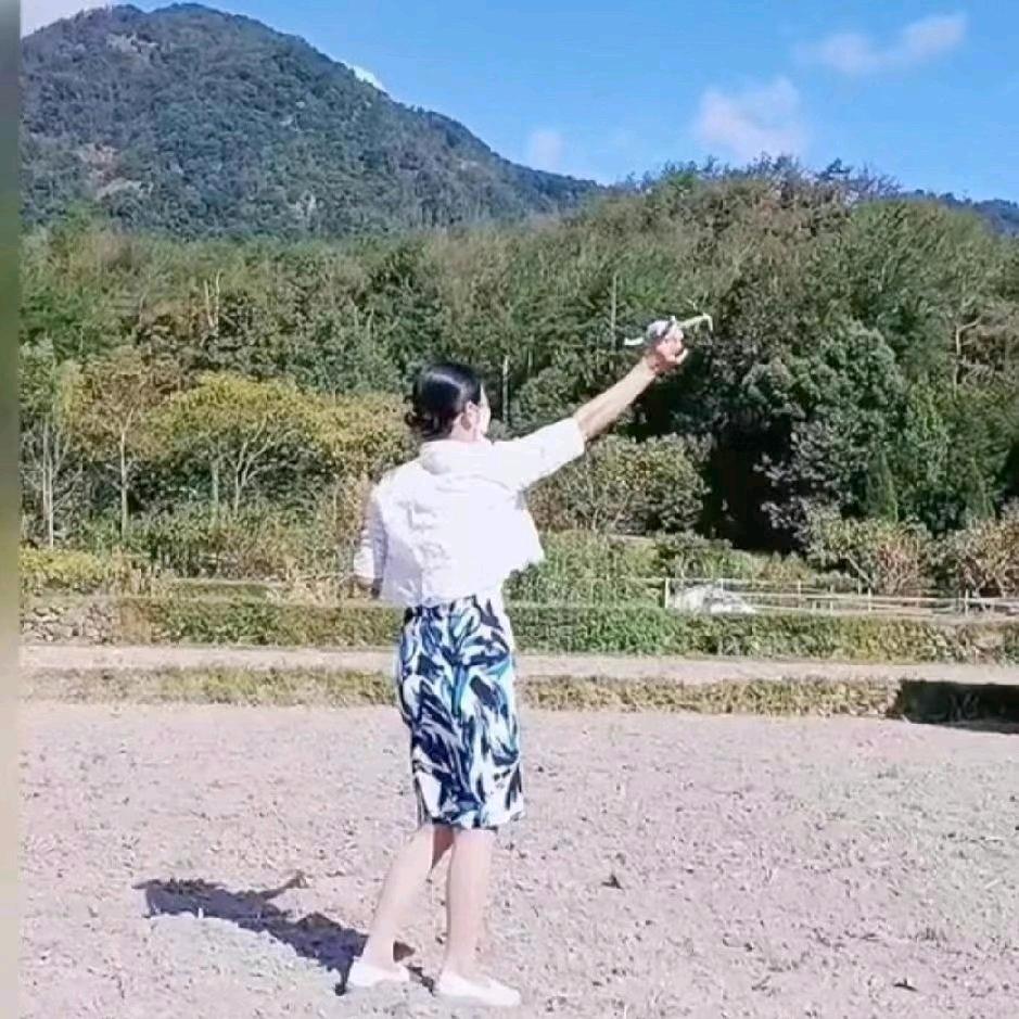 天台燕