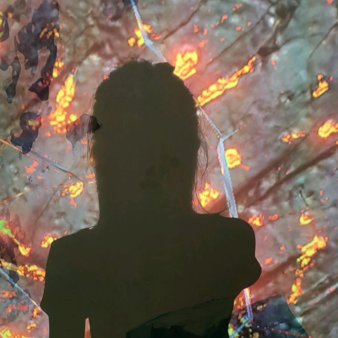 洋洋得亿 好柿朵朵