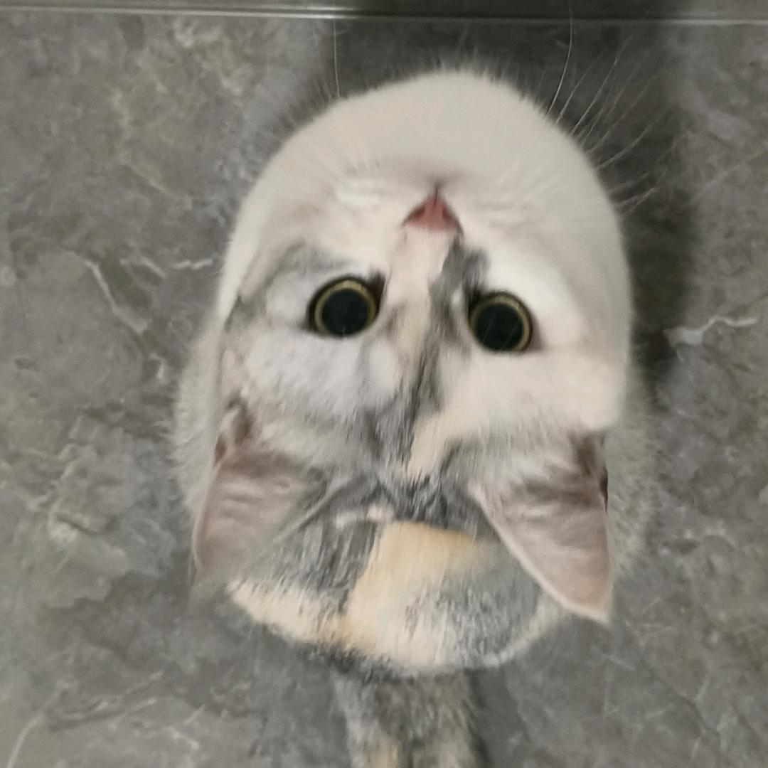 沅
