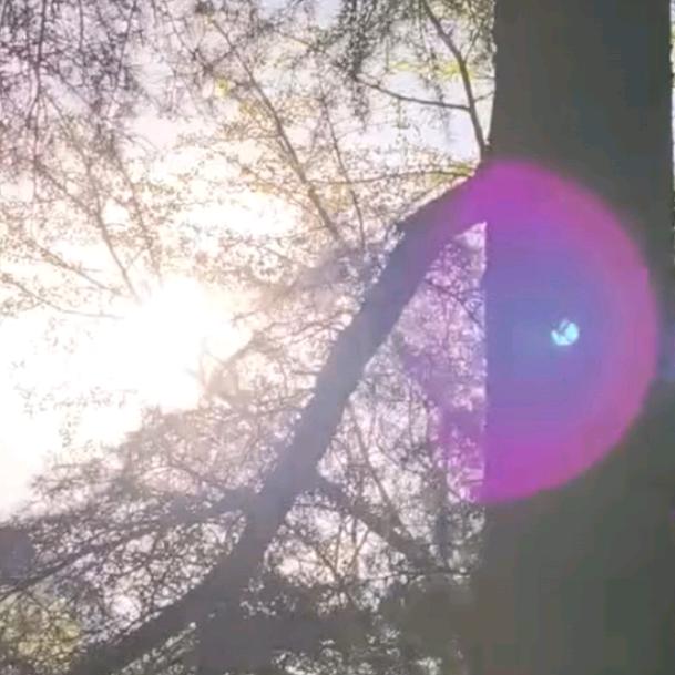 王上