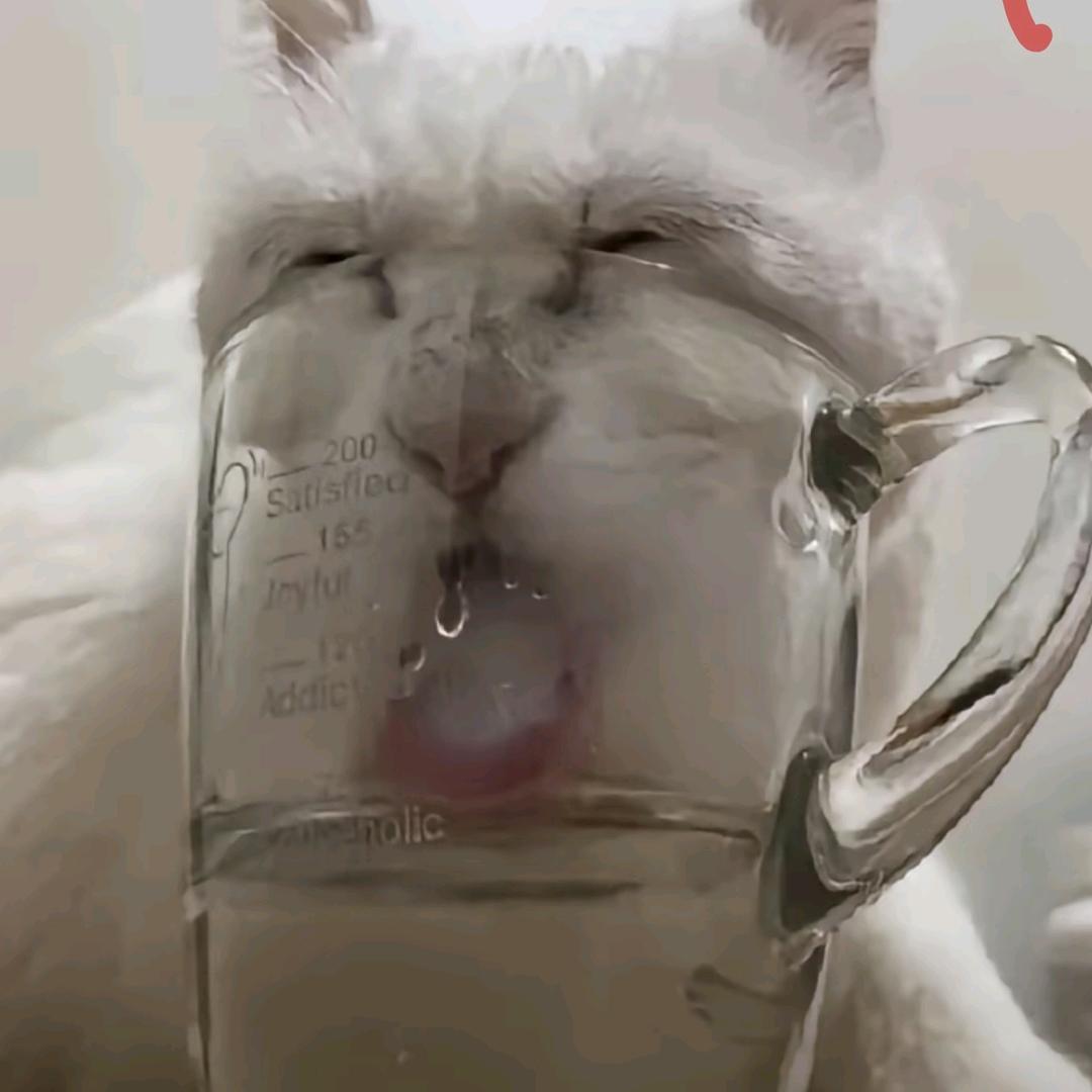 不知道叫什么