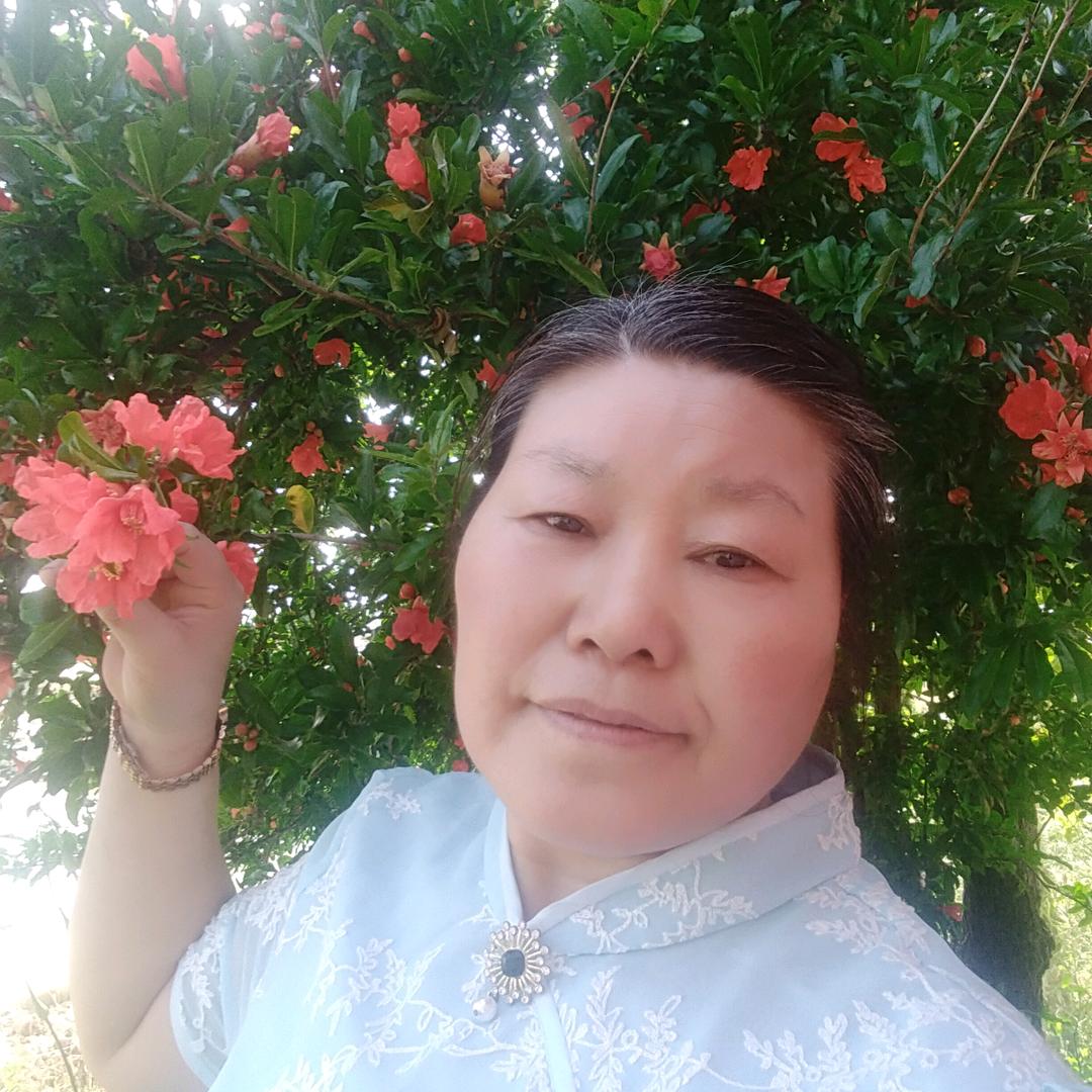 何廷素