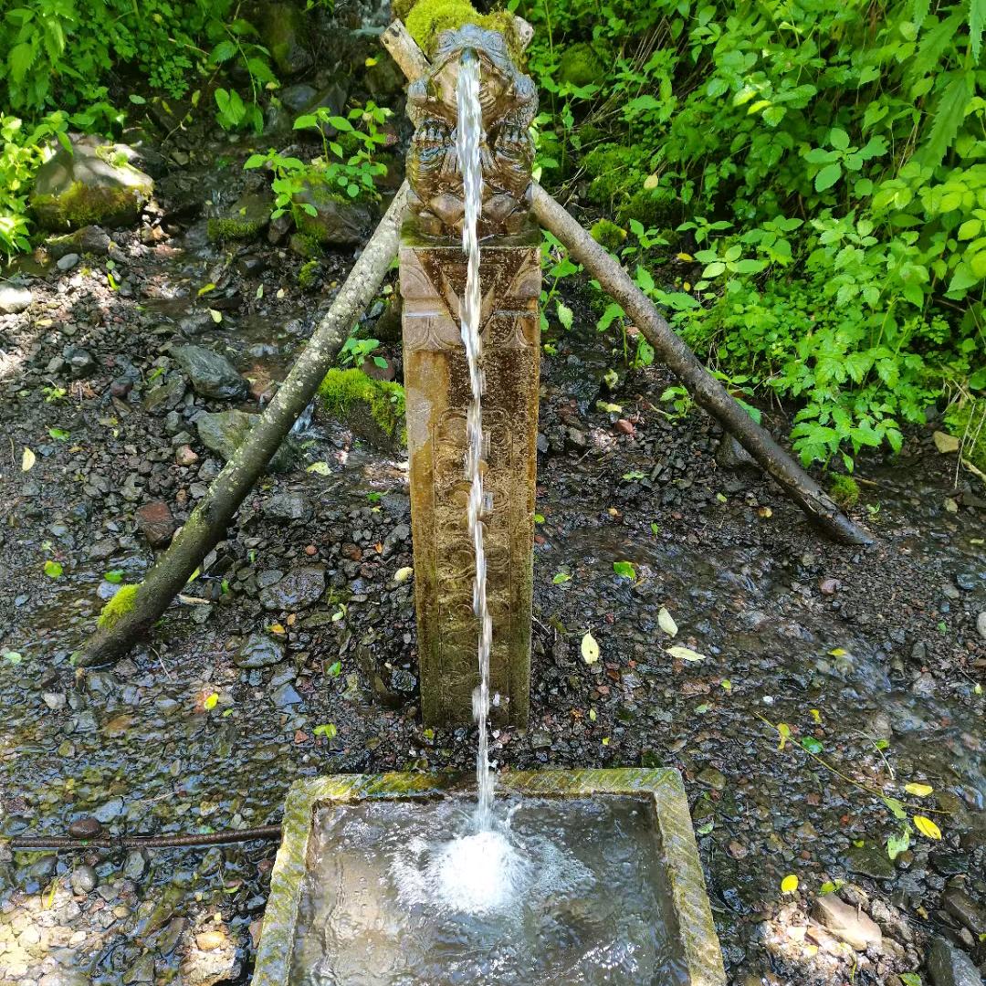 伟雨泽