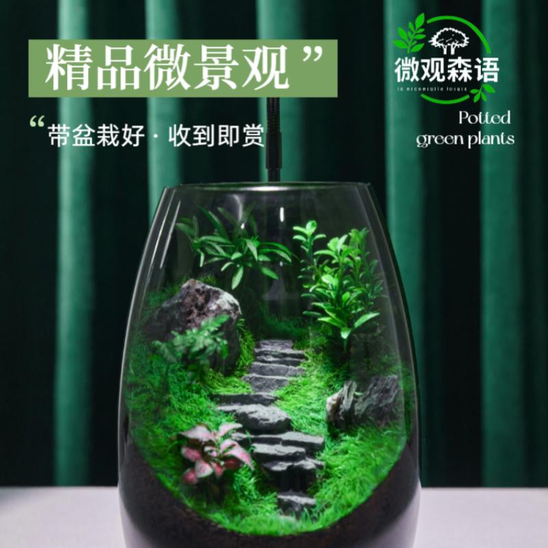 微观森语桌面微景观