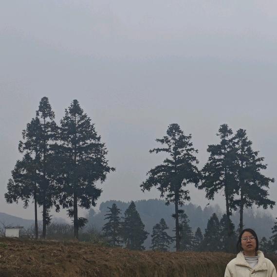 重生归来，小帅立志写一。