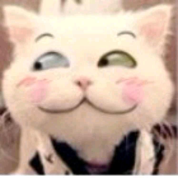 木木爽☀️