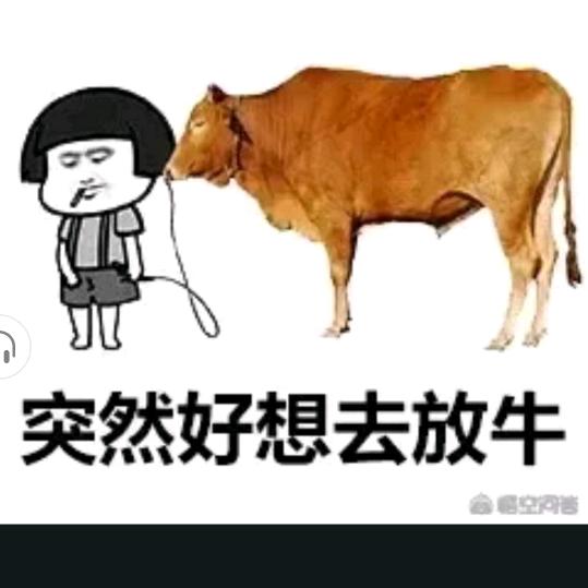 用户没登记