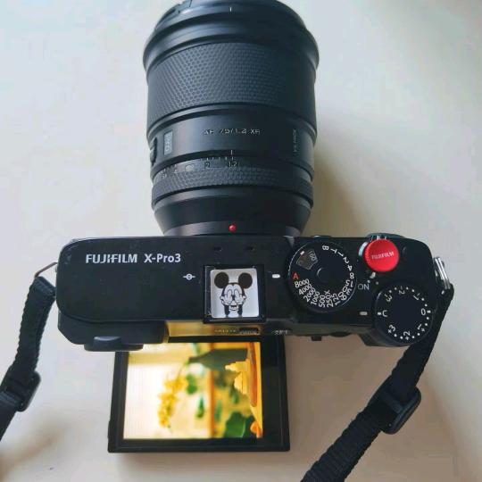 @ 随意