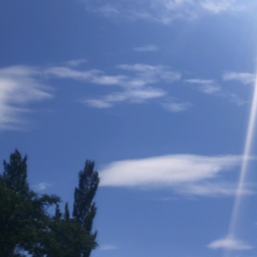 。。。尽情。。。