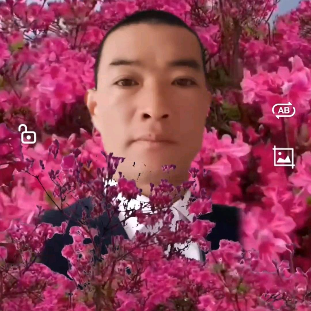 雁渡寒潭