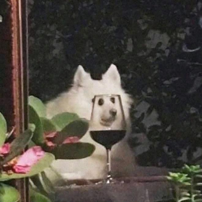 末鹿⁹⁸⁶⁵
