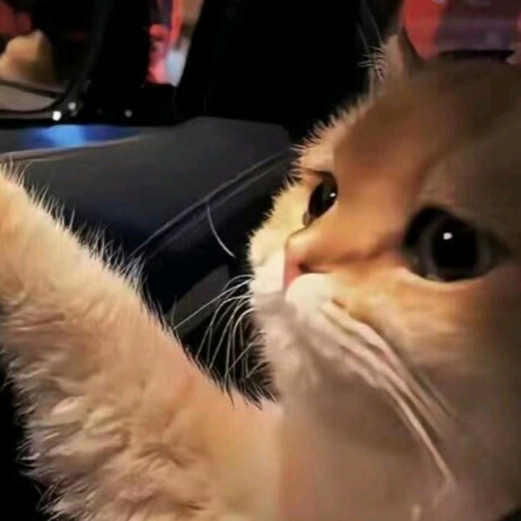 11，