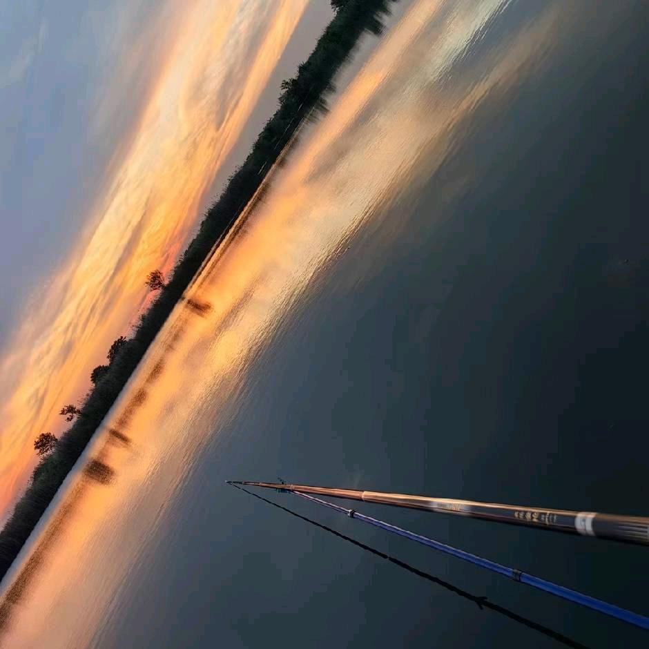 国家一级水生物投喂大师