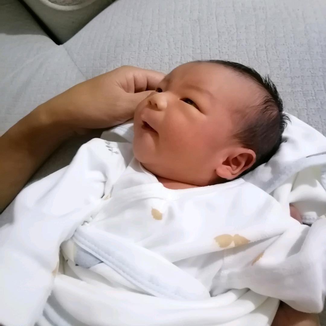 💞小蛇宝—兜兜