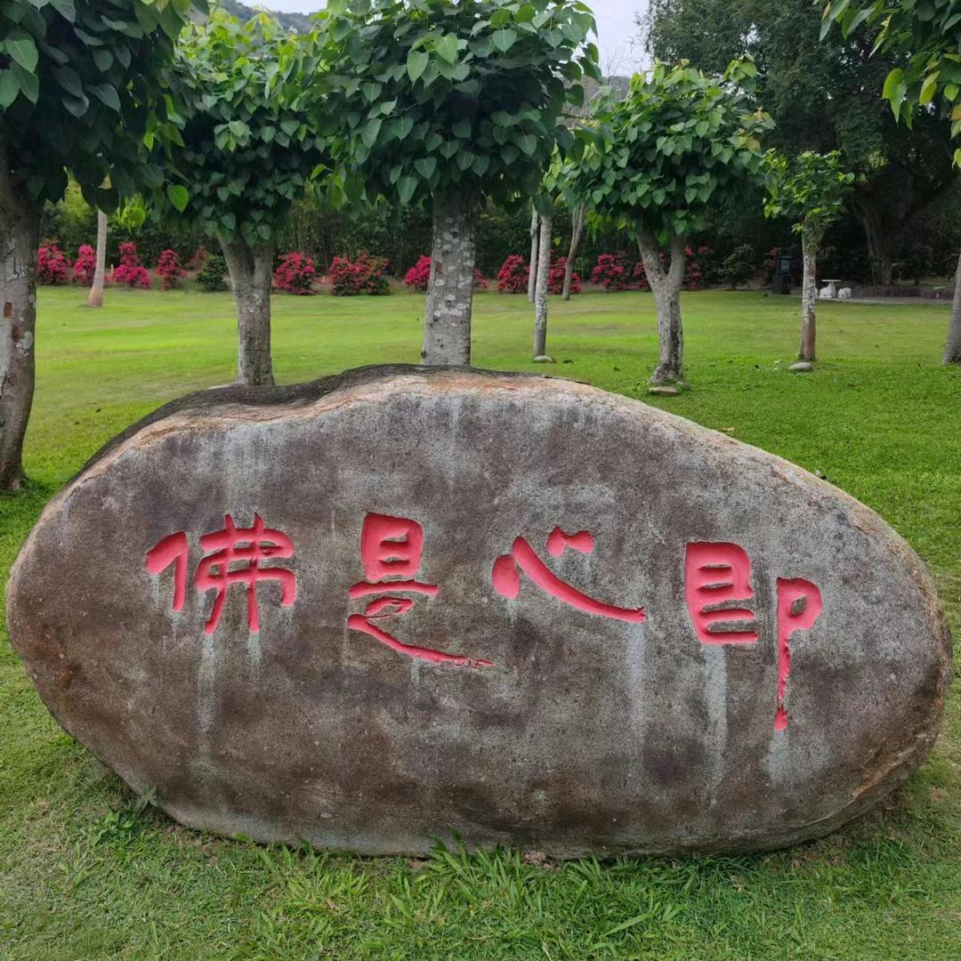 开心523