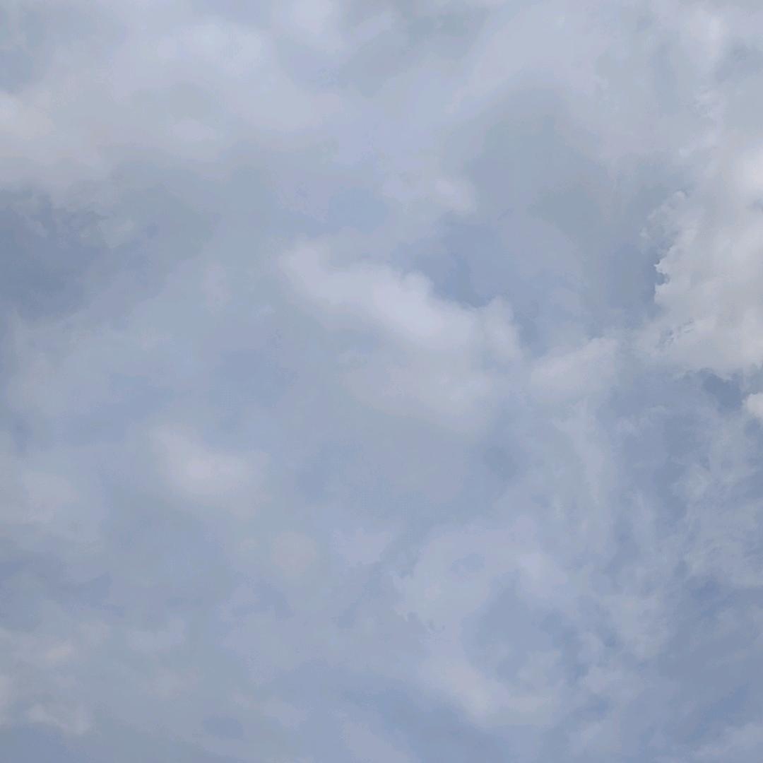 ℳ̶̶̶̶真♡̶҉爱ℳᥫ