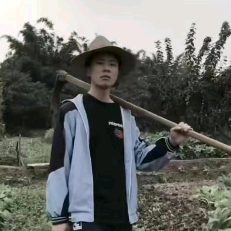 悲伤柚子树