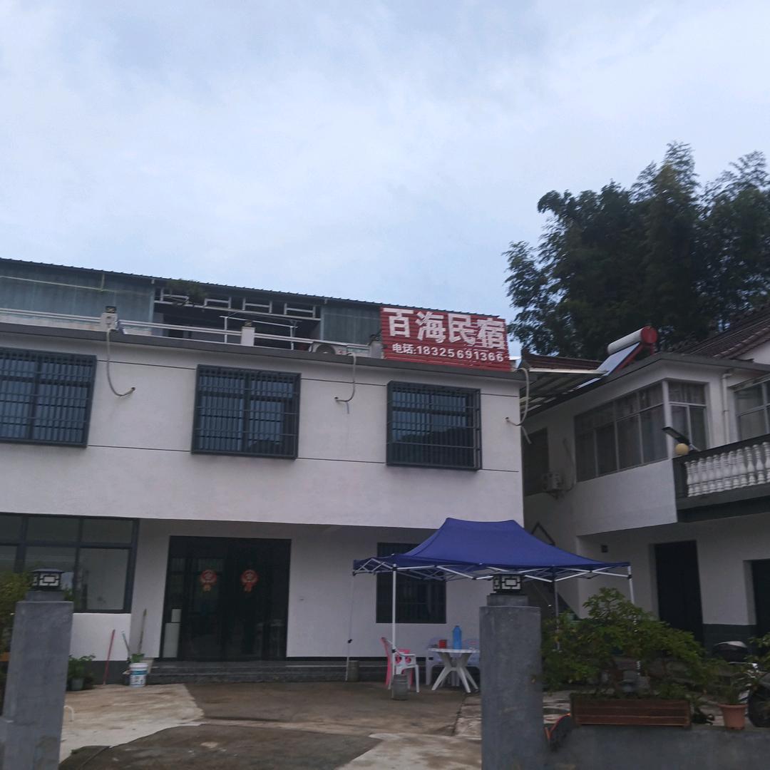 高山映山红园艺