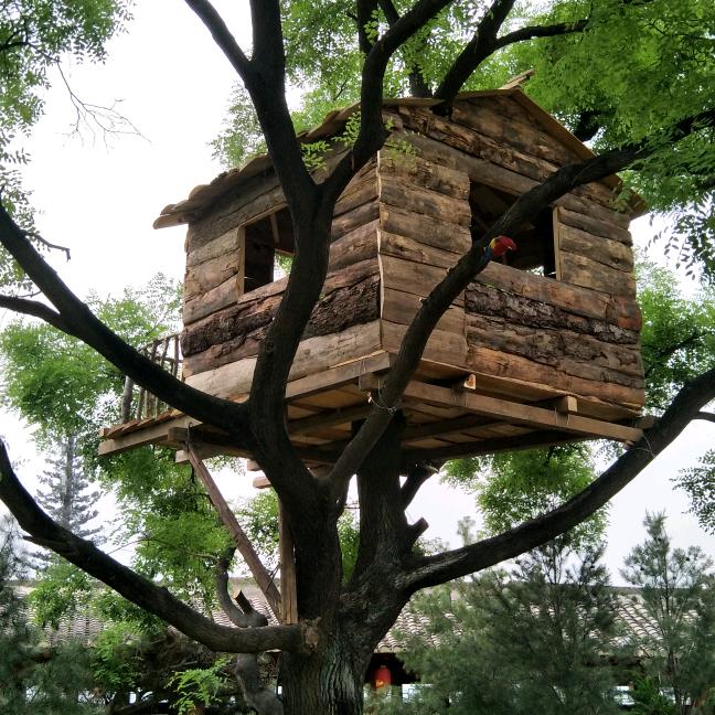 鲁力农机（武功有物）